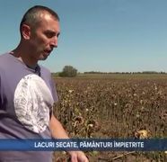 Deșertificare în Bărăgan! Fermierii, aflați în culmea disperării, vin cu teorii conspiraționiste: „Cred că e ceva creat. În momentul în care s-a înnorat se aud avioane”